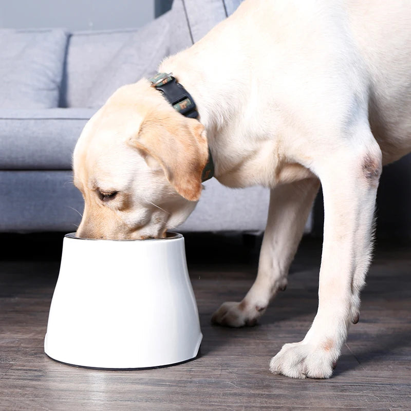 Ergonomic Food Bowl For Pets