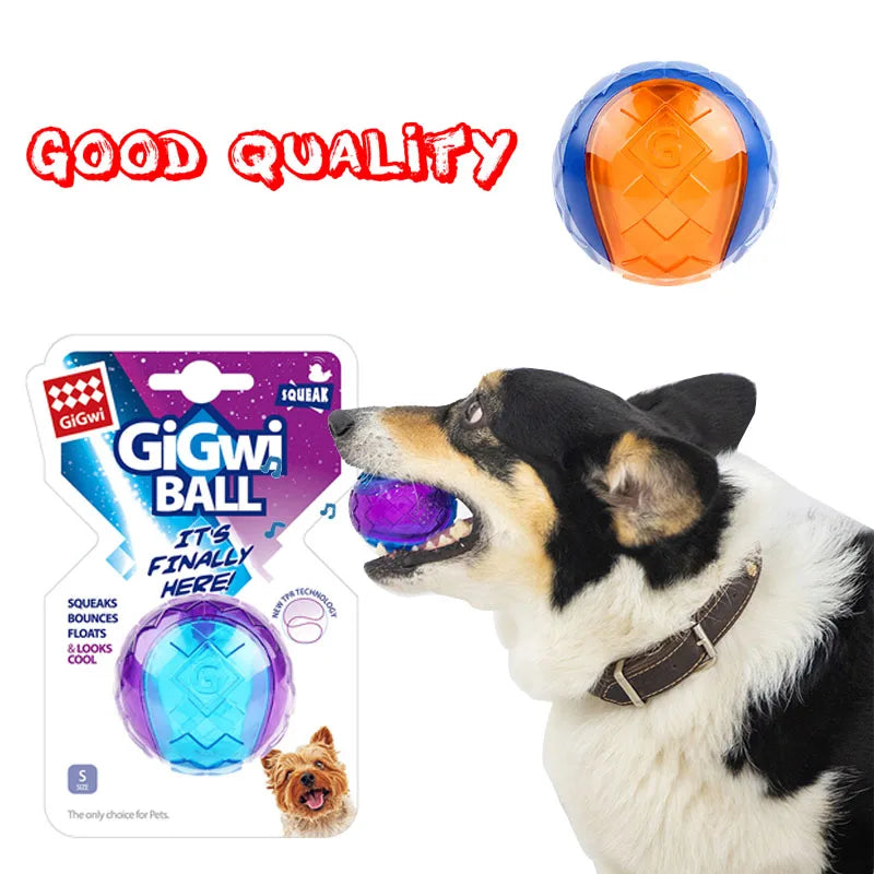 Squeaky Chew Toys