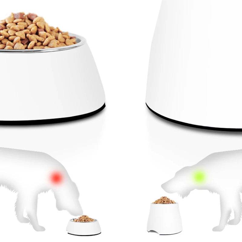 Ergonomic Food Bowl For Pets