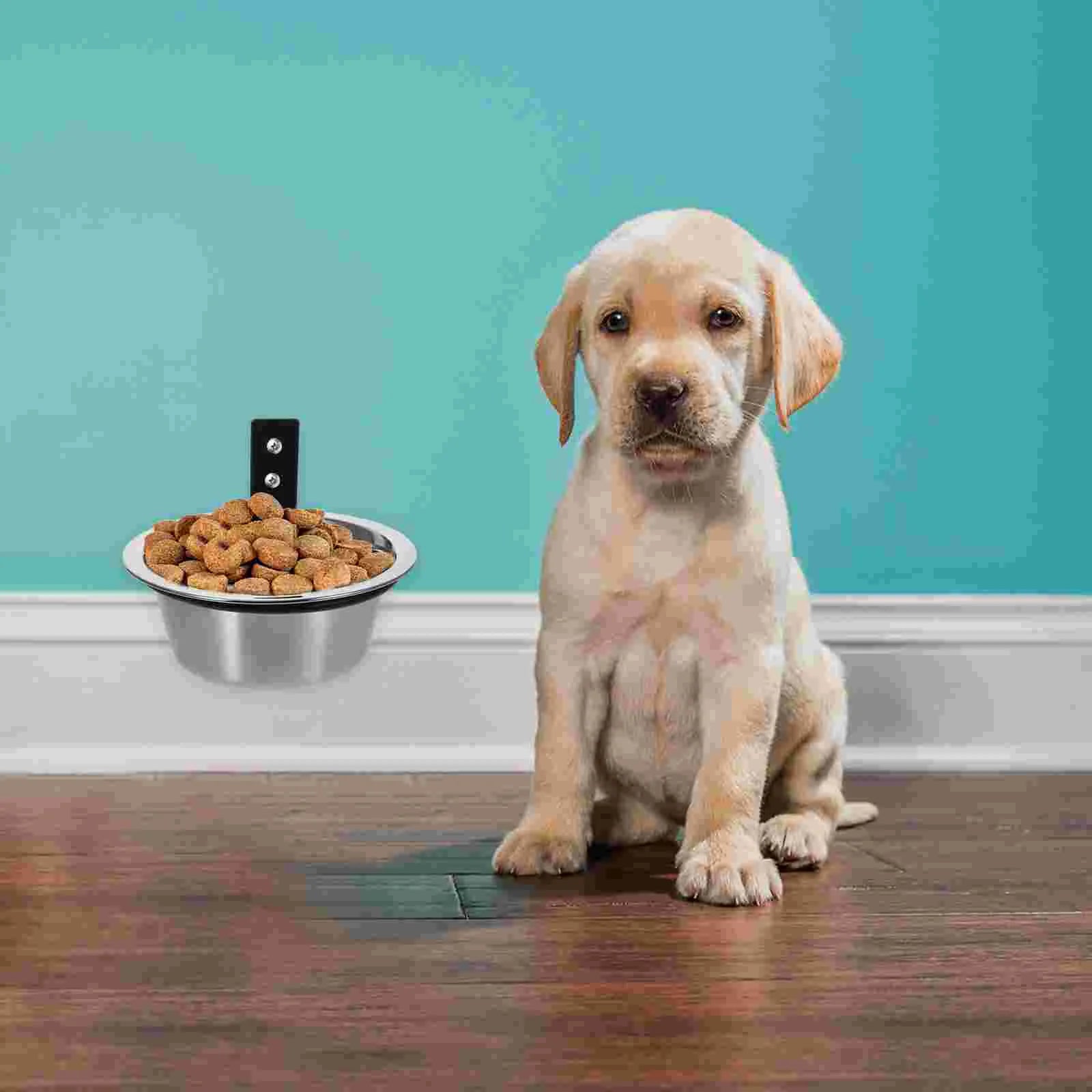 Wall Mounted Elevated Food Bowl