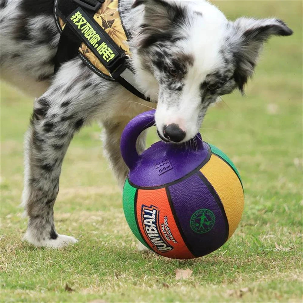 Bite-Resistant Pet Dog Toy Ball