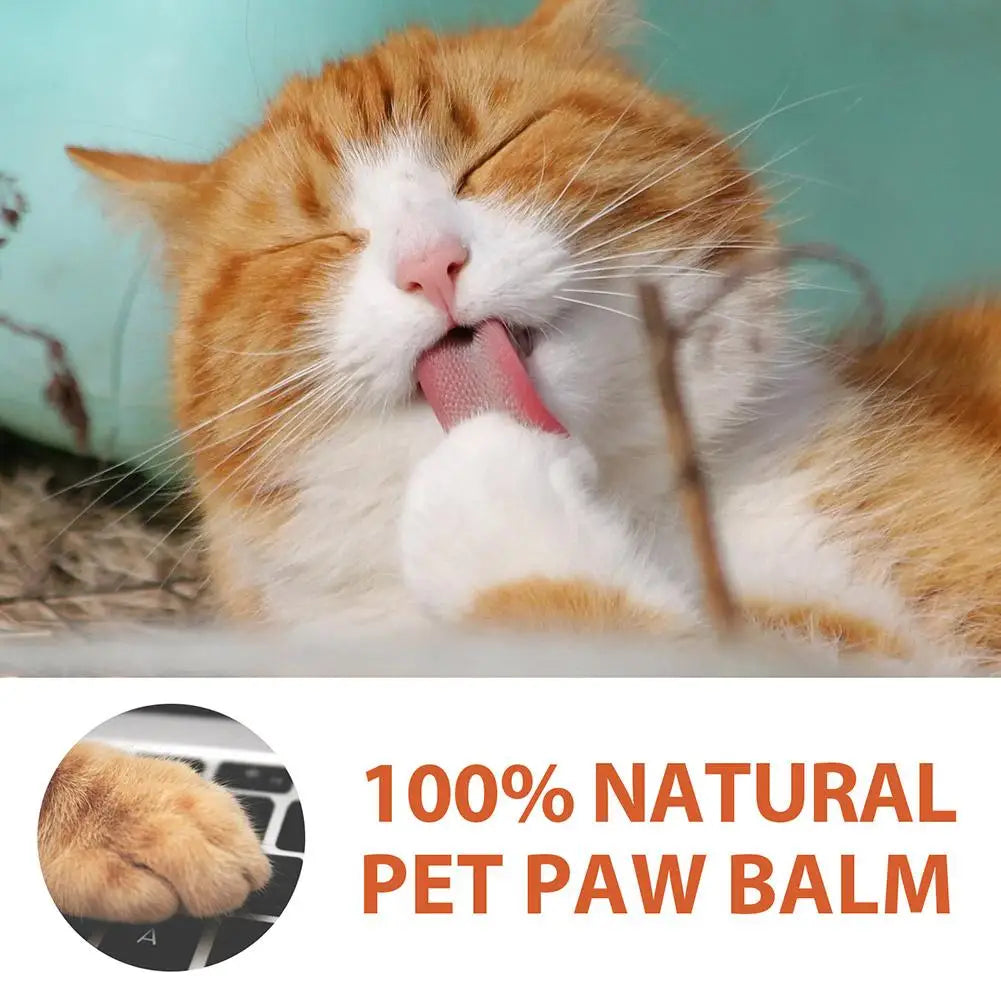 Dog Paw Moisturizing Balm