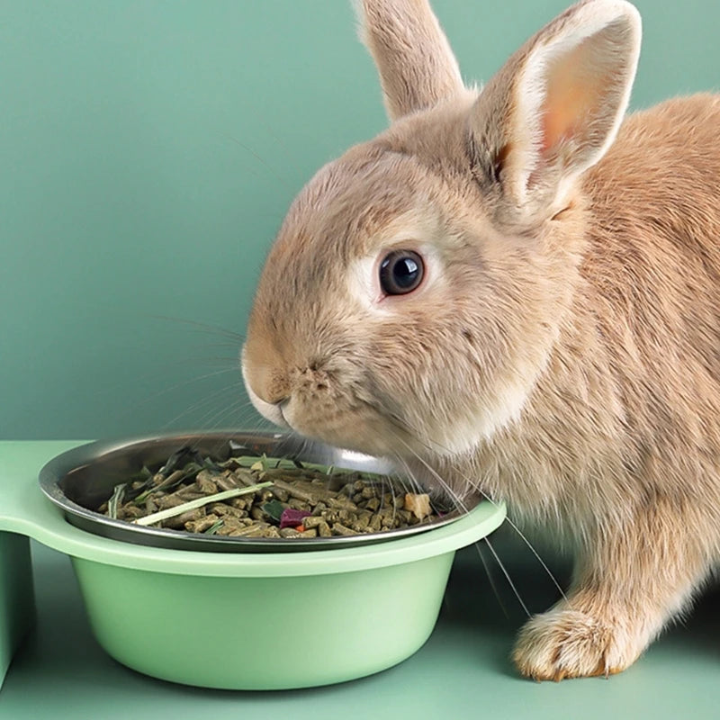 Rabbit Automatic Feeder