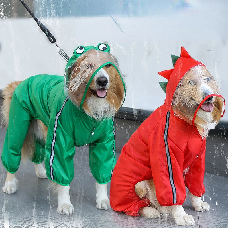 Dinosaur Frog Style Raincoats