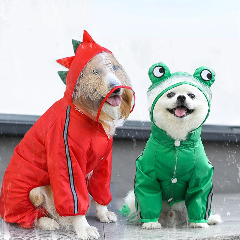 Dinosaur Frog Style Raincoats