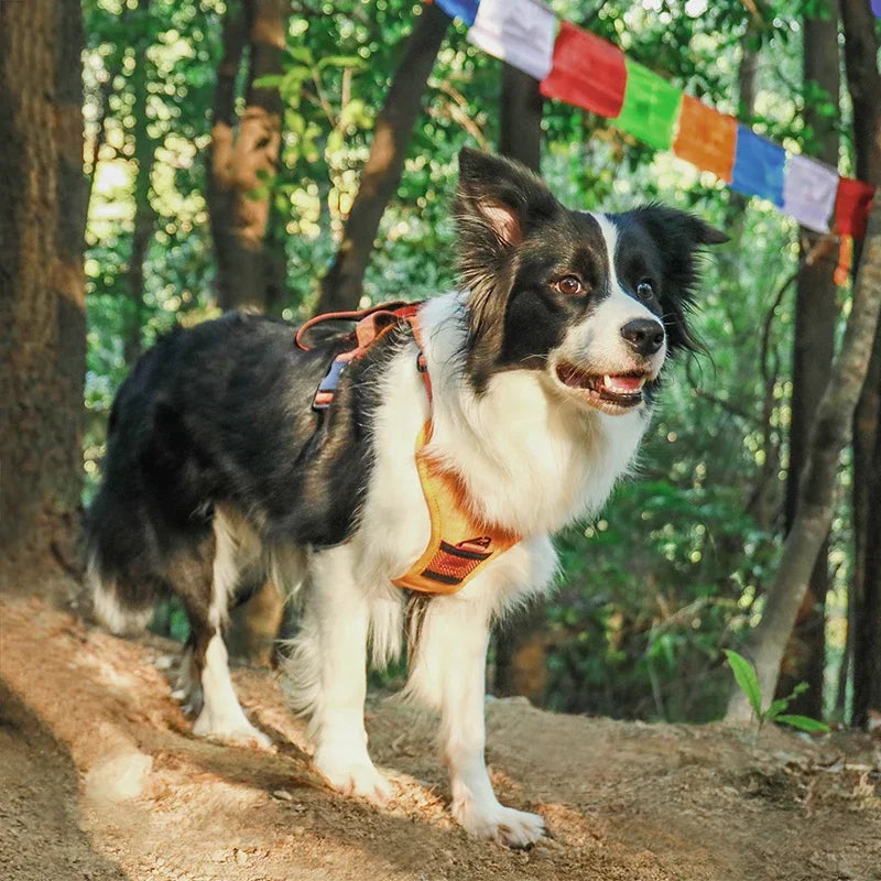 durable Breathable Pet Vest