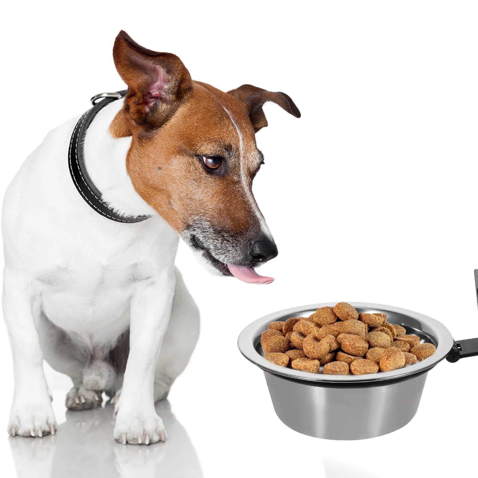 Wall Mounted Elevated Food Bowl