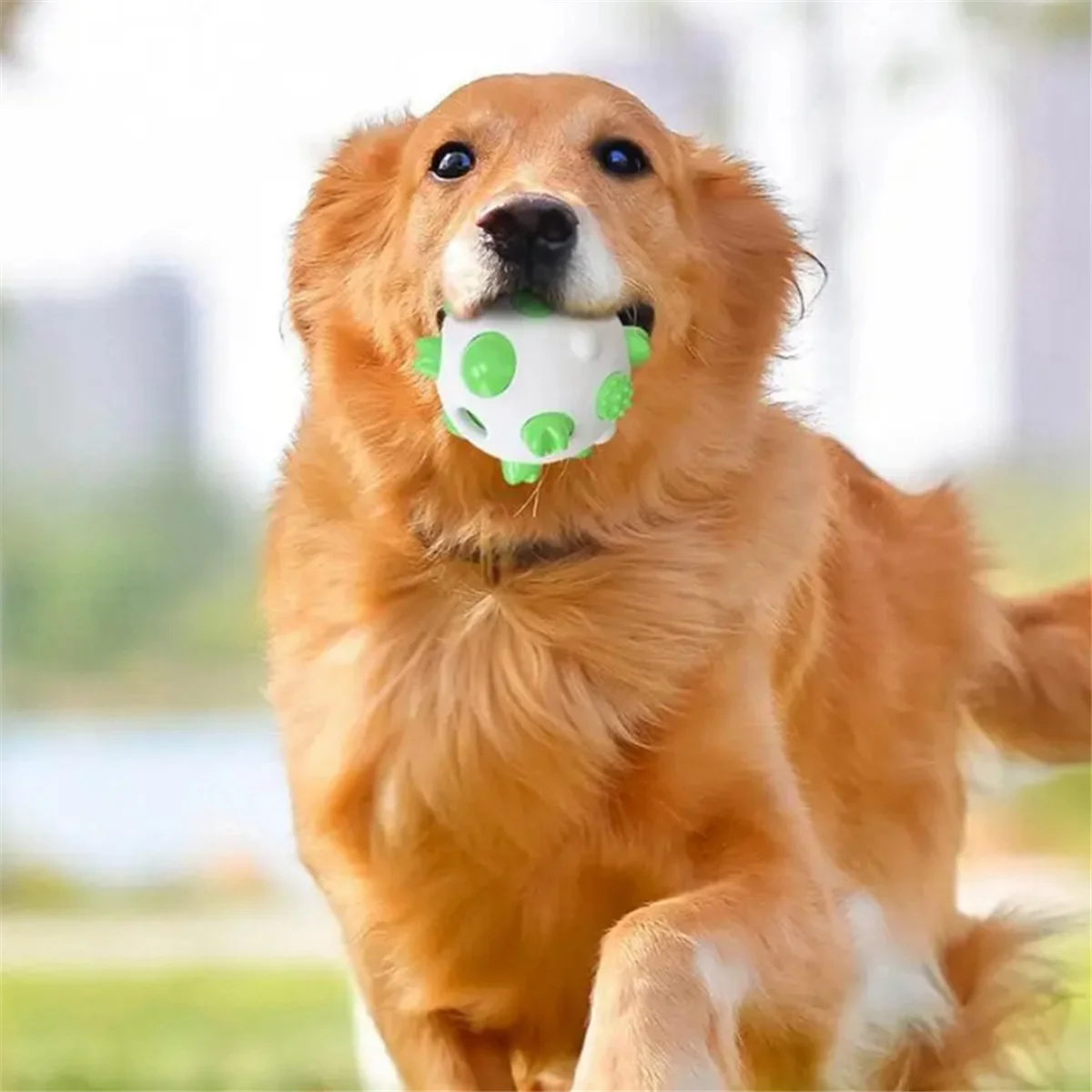 Innovative Dogs Chew Toys