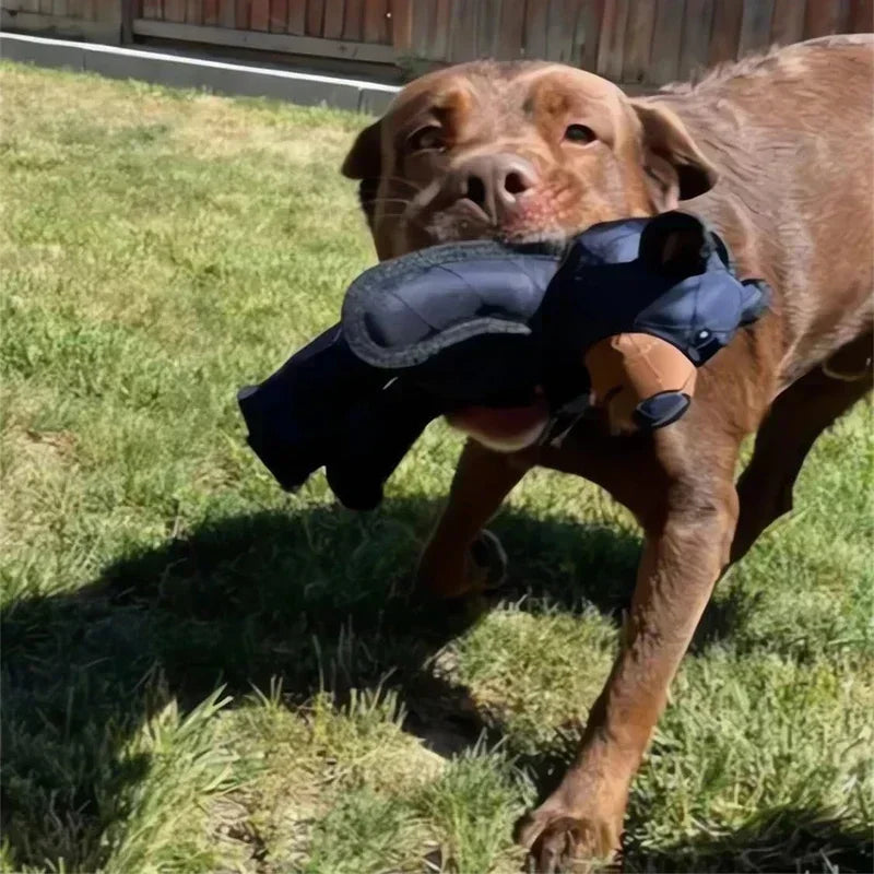 Unbreakable Teddy Toy For Dogs