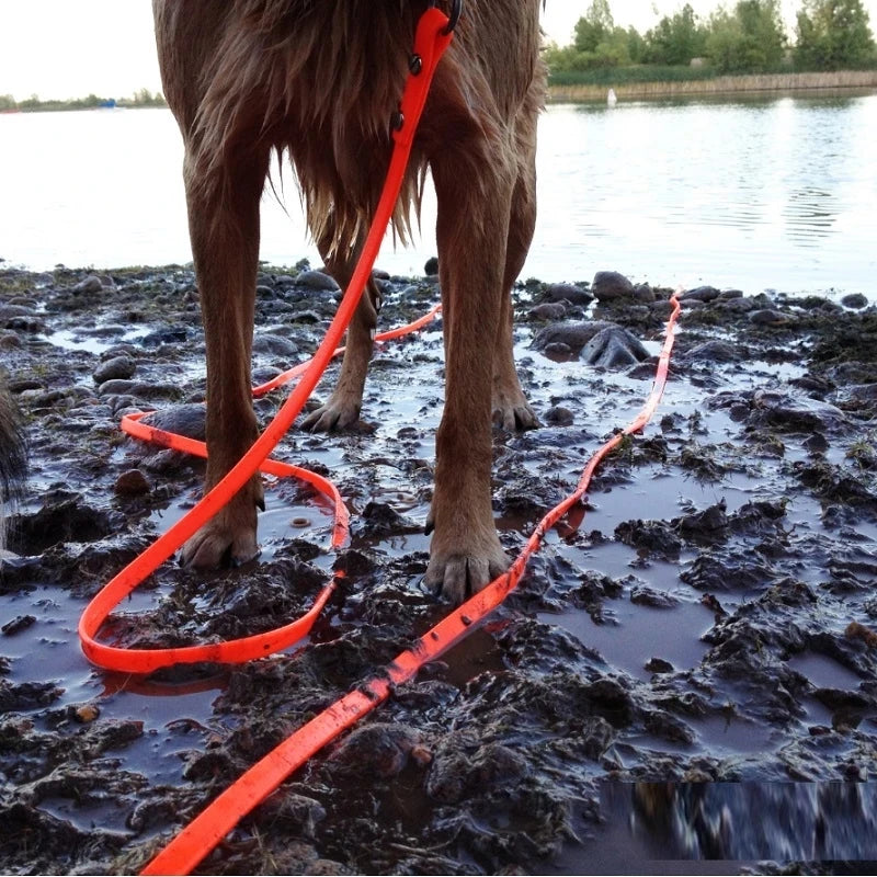 5m10m Waterproof Dog Leash