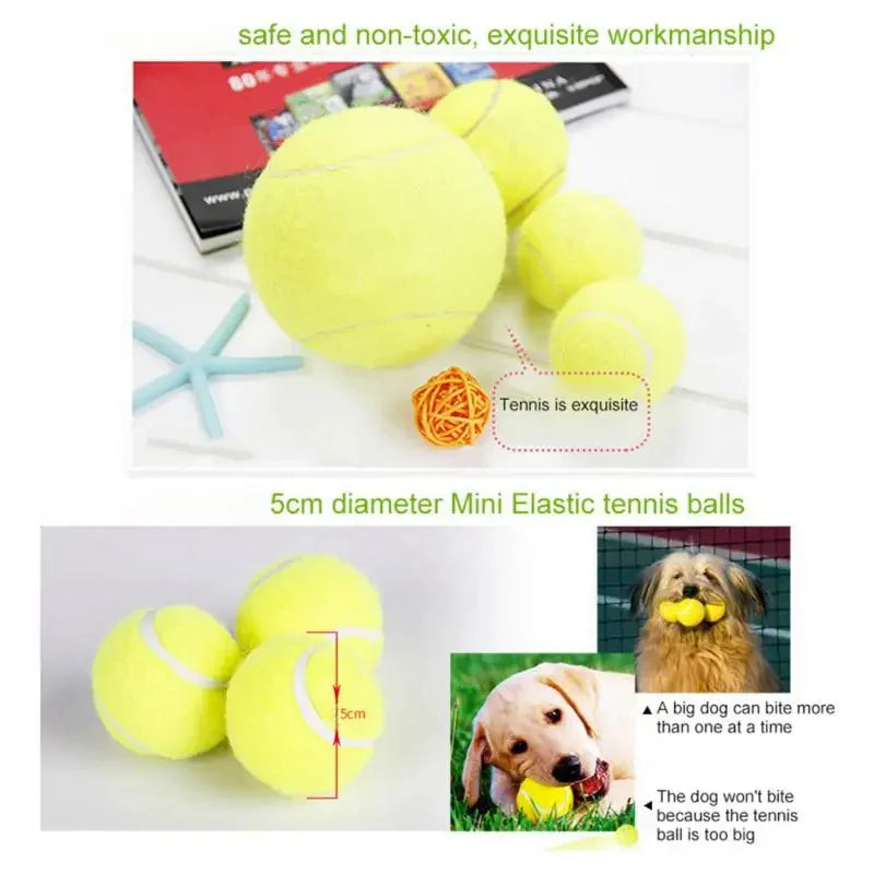 6 PCS Tennis Balls