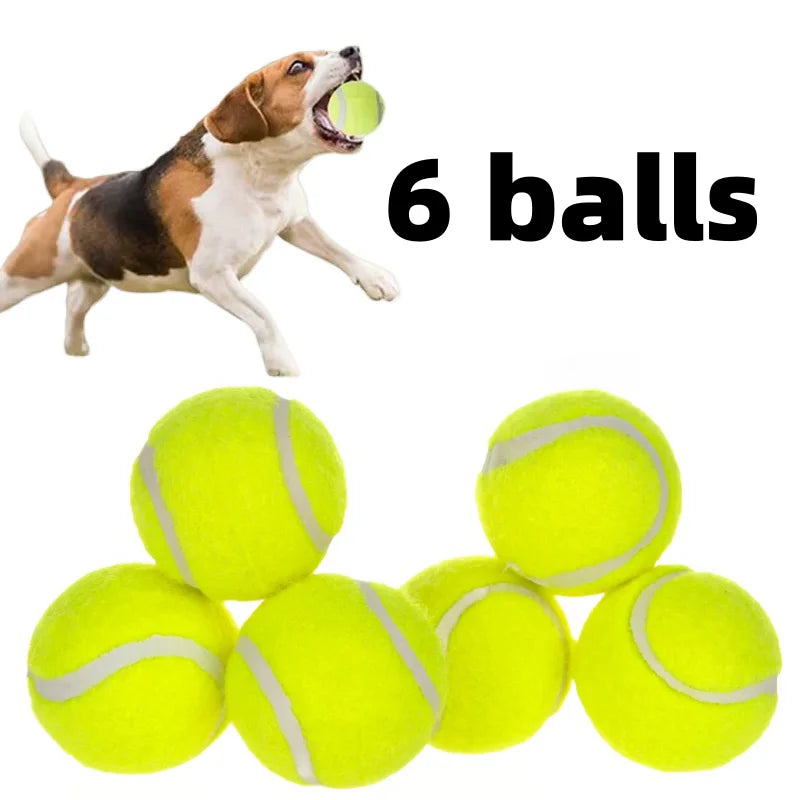 6 PCS Tennis Balls