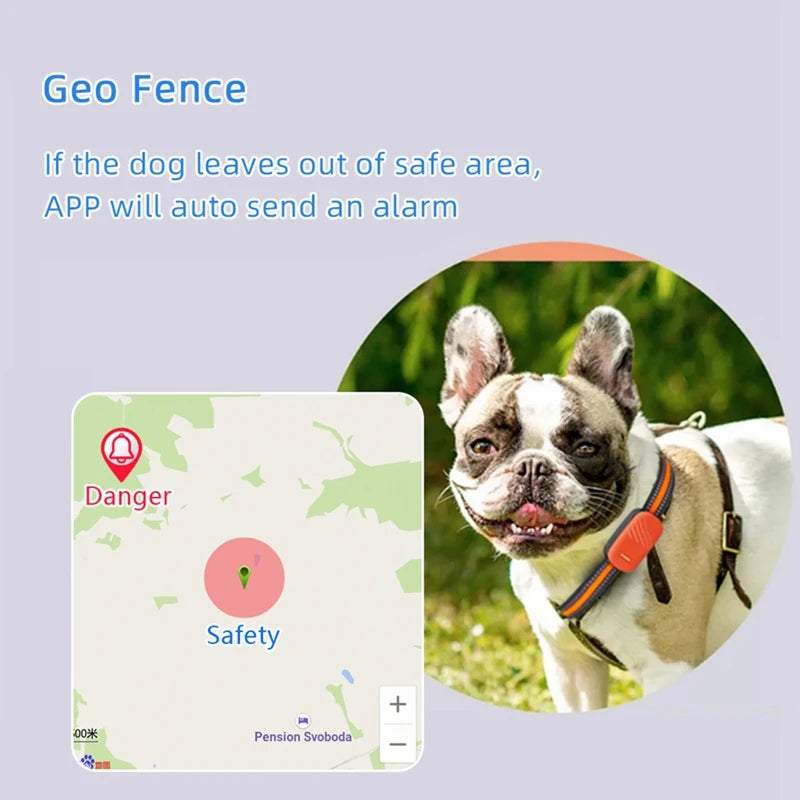 Smart Collar GPS Tracker Waterproof